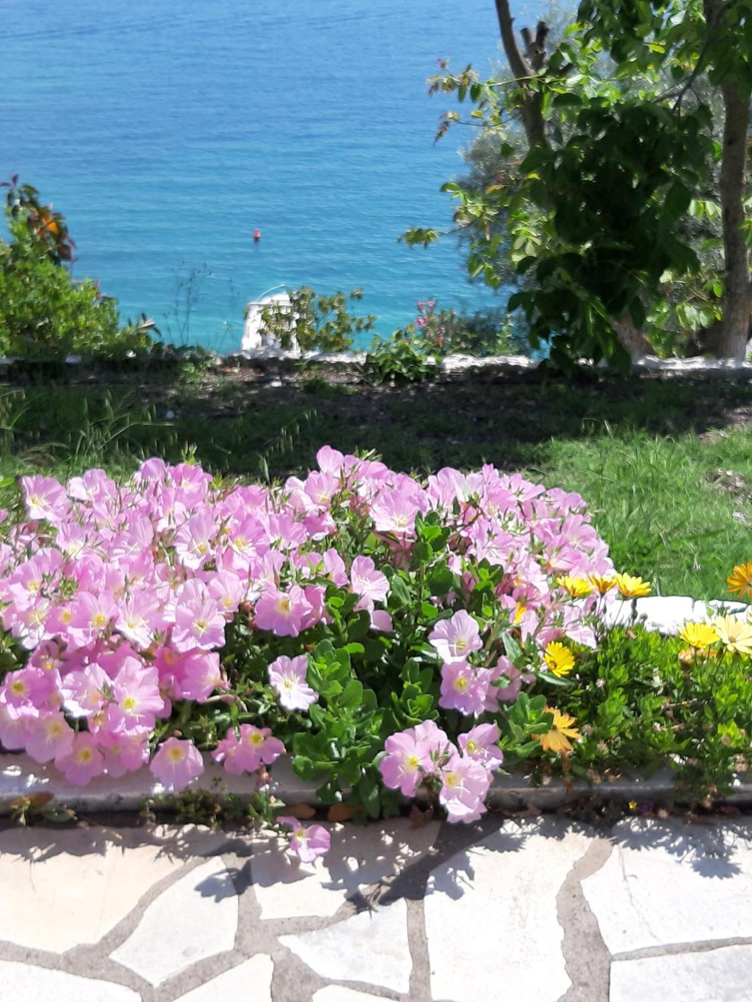 Villa Korakias Seaview Yénion Exterior foto